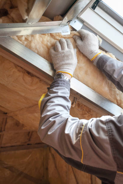 Best Blown-in Insulation in Rosedale, MS