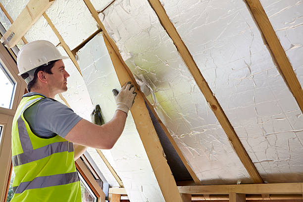 Best Spray Foam Insulation in Rosedale, MS