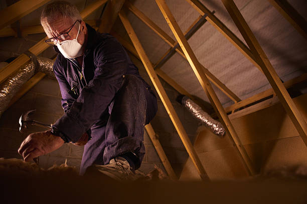 Best Specialized Insulation Services in Rosedale, MS