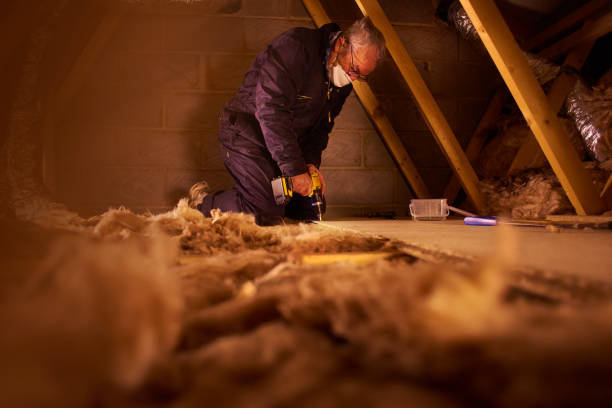 Best Blown-in Insulation in Rosedale, MS